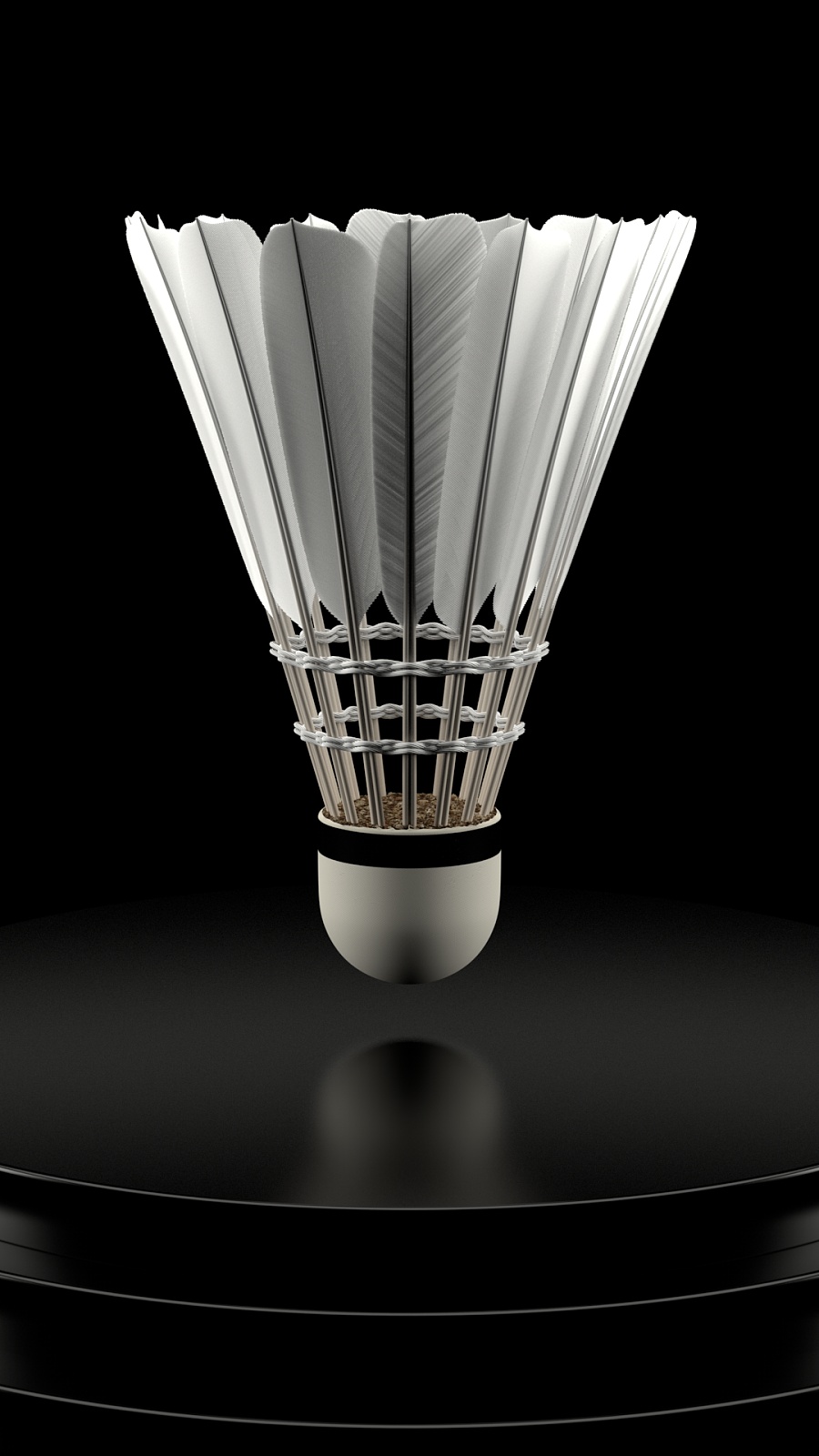 在体能训练 在体能训练